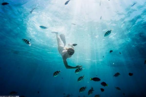 舞蹈结合体育项目的流行趋势解析(图1)